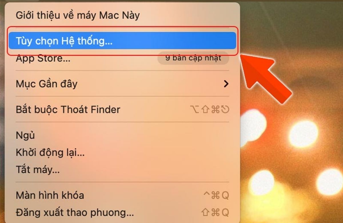 Vào Tùy chọn hệ thống