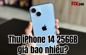 Thu mua iPhone 14 256GB giá bao nhiêu?
